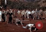 Image of Ranger combat training Hawaii USA, 1942, second 8 stock footage video 65675068511