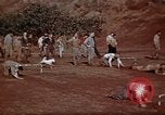 Image of Ranger combat training Hawaii USA, 1942, second 11 stock footage video 65675068511