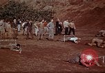 Image of Ranger combat training Hawaii USA, 1942, second 13 stock footage video 65675068511