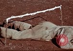 Image of Ranger combat training Hawaii USA, 1942, second 18 stock footage video 65675068511