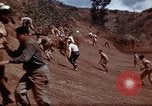 Image of Ranger combat training Hawaii USA, 1942, second 32 stock footage video 65675068511