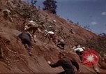 Image of Ranger combat training Hawaii USA, 1942, second 36 stock footage video 65675068511