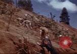Image of Ranger combat training Hawaii USA, 1942, second 37 stock footage video 65675068511