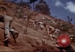 Image of Ranger combat training Hawaii USA, 1942, second 38 stock footage video 65675068511