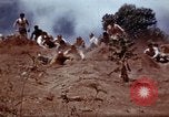 Image of Ranger combat training Hawaii USA, 1942, second 41 stock footage video 65675068511