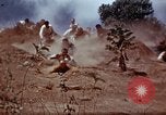 Image of Ranger combat training Hawaii USA, 1942, second 43 stock footage video 65675068511