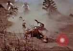 Image of Ranger combat training Hawaii USA, 1942, second 47 stock footage video 65675068511