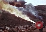 Image of Ranger combat training Hawaii USA, 1942, second 54 stock footage video 65675068511
