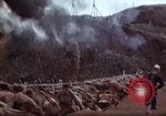Image of Ranger combat training Hawaii USA, 1942, second 55 stock footage video 65675068511