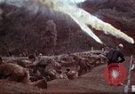 Image of Ranger combat training Hawaii USA, 1942, second 56 stock footage video 65675068511