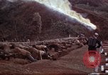 Image of Ranger combat training Hawaii USA, 1942, second 57 stock footage video 65675068511