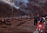 Image of Ranger combat training Hawaii USA, 1942, second 59 stock footage video 65675068511