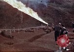 Image of Ranger combat training Hawaii USA, 1942, second 60 stock footage video 65675068511