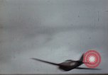 Standbild Ranger Combat Training Hawaii USA, 1942, aus Sekunde 33 historischem Filmmaterial Videoclip 65675068512