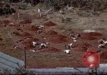 Standbild Ranger Combat Training Hawaii USA, 1942, aus Sekunde 41 historischem Filmmaterial Videoclip 65675068512