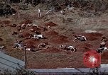 Standbild Ranger Combat Training Hawaii USA, 1942, aus Sekunde 43 historischem Filmmaterial Videoclip 65675068512