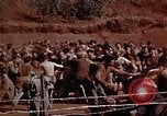 Standbild Ranger Combat Training Hawaii USA, 1942, aus Sekunde 18 historischem Filmmaterial Videoclip 65675068513