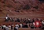 Standbild Ranger Combat Training Hawaii USA, 1942, aus Sekunde 52 historischem Filmmaterial Videoclip 65675068513