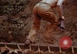 Image of Ranger combat training Hawaii USA, 1942, second 39 stock footage video 65675068514