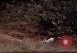 Image of Ranger combat training Hawaii USA, 1942, second 53 stock footage video 65675068514