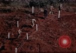 Image of Ranger combat training Hawaii USA, 1942, second 62 stock footage video 65675068514