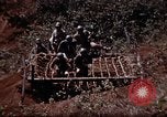 Standbild Ranger Combat Training Hawaii USA, 1942, aus Sekunde 25 historischem Filmmaterial Videoclip 65675068515