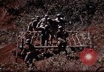 Standbild Ranger Combat Training Hawaii USA, 1942, aus Sekunde 29 historischem Filmmaterial Videoclip 65675068515