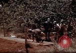 Standbild Ranger Combat Training Hawaii USA, 1942, aus Sekunde 35 historischem Filmmaterial Videoclip 65675068515