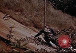 Standbild Ranger Combat Training Hawaii USA, 1942, aus Sekunde 53 historischem Filmmaterial Videoclip 65675068515