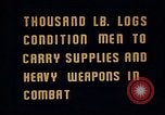 Image Ranger combat training Hawaii USA, 1942, de la seconde 3 séquences d'archives historiques vidéo 65675068516