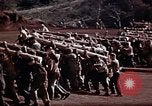 Image Ranger combat training Hawaii USA, 1942, de la seconde 13 séquences d'archives historiques vidéo 65675068516