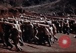 Image Ranger combat training Hawaii USA, 1942, de la seconde 15 séquences d'archives historiques vidéo 65675068516
