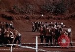 Image Ranger combat training Hawaii USA, 1942, de la seconde 32 séquences d'archives historiques vidéo 65675068516