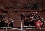 Image Ranger combat training Hawaii USA, 1942, de la seconde 34 séquences d'archives historiques vidéo 65675068516