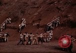 Image Ranger combat training Hawaii USA, 1942, de la seconde 36 séquences d'archives historiques vidéo 65675068516