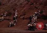 Image Ranger combat training Hawaii USA, 1942, de la seconde 40 séquences d'archives historiques vidéo 65675068516