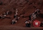 Image Ranger combat training Hawaii USA, 1942, de la seconde 41 séquences d'archives historiques vidéo 65675068516