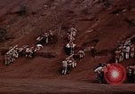 Image Ranger combat training Hawaii USA, 1942, de la seconde 42 séquences d'archives historiques vidéo 65675068516