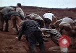 Image Ranger combat training Hawaii USA, 1942, de la seconde 50 séquences d'archives historiques vidéo 65675068516