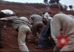 Image Ranger combat training Hawaii USA, 1942, de la seconde 52 séquences d'archives historiques vidéo 65675068516