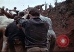 Image Ranger combat training Hawaii USA, 1942, de la seconde 57 séquences d'archives historiques vidéo 65675068516