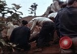 Image Ranger combat training Hawaii USA, 1942, de la seconde 62 séquences d'archives historiques vidéo 65675068516