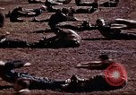 Standbild Ranger Combat Training Hawaii USA, 1942, aus Sekunde 18 historischem Filmmaterial Videoclip 65675068517