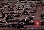 Standbild Ranger Combat Training Hawaii USA, 1942, aus Sekunde 28 historischem Filmmaterial Videoclip 65675068517