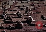 Standbild Ranger Combat Training Hawaii USA, 1942, aus Sekunde 29 historischem Filmmaterial Videoclip 65675068517