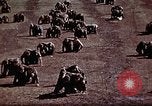 Standbild Ranger Combat Training Hawaii USA, 1942, aus Sekunde 44 historischem Filmmaterial Videoclip 65675068517