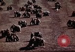 Standbild Ranger Combat Training Hawaii USA, 1942, aus Sekunde 45 historischem Filmmaterial Videoclip 65675068517