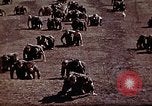 Standbild Ranger Combat Training Hawaii USA, 1942, aus Sekunde 46 historischem Filmmaterial Videoclip 65675068517