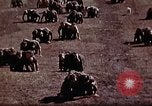 Standbild Ranger Combat Training Hawaii USA, 1942, aus Sekunde 47 historischem Filmmaterial Videoclip 65675068517