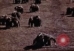 Standbild Ranger Combat Training Hawaii USA, 1942, aus Sekunde 49 historischem Filmmaterial Videoclip 65675068517